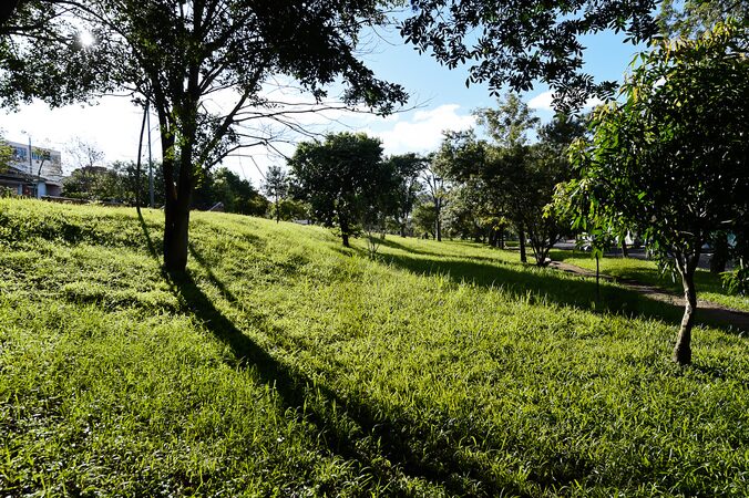 Porto Alegre aprova programa de microflorestas urbanas nos bairros