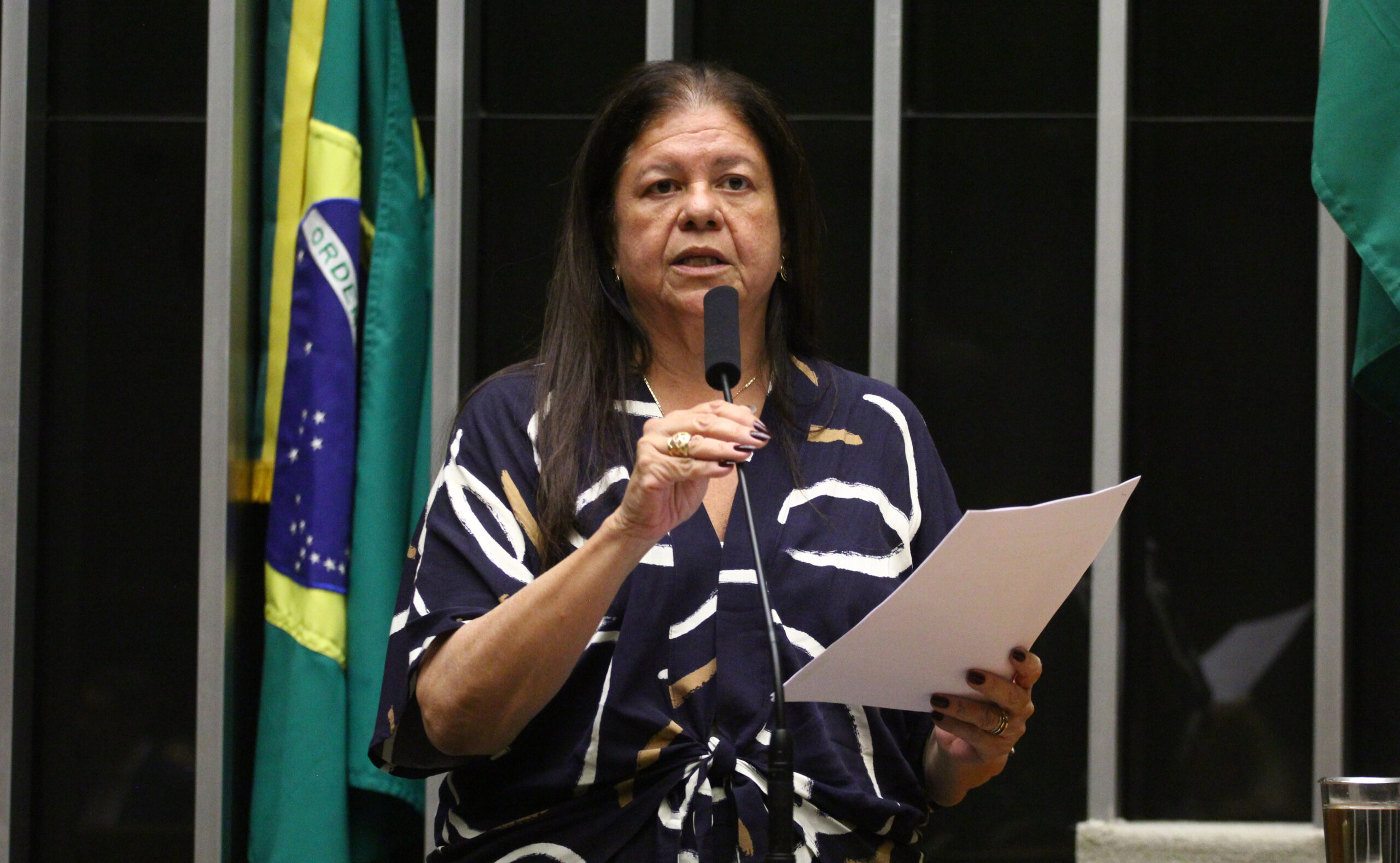 Deputada Laura Carneiro, relatora do projeto, discursa ao microfone no Plenário da Câmara, segurando papéis, com a bandeira do Brasil ao fundo